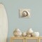 Stupell Industries Neutral Tone Seashell Wall Plaque Design by Dora Rotondella